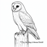 Detailed Barn Owl Perching Coloring Pages 2