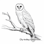 Detailed Barn Owl Perching Coloring Pages 3