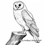 Detailed Barn Owl Perching Coloring Pages 4