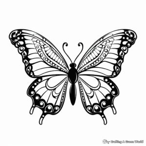 Detailed Butterfly Clip Art Coloring Pages for Adults 3