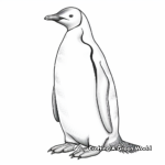 Detailed Emperor Penguin Coloring Pages 3