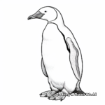 Detailed Emperor Penguin Coloring Pages 4