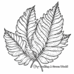 Detailed Fern Leaf Coloring Pages 1