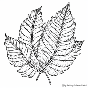 Detailed Fern Leaf Coloring Pages 1