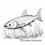 Detailed Great Barracuda Coloring Pages 3