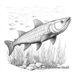 Detailed Great Barracuda Coloring Pages 4