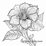 Detailed Tiger Lily Coloring Pages for Adults 1
