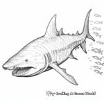 Detailed Tiger Shark Anatomy Coloring Pages 2