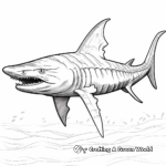 Detailed Tiger Shark Anatomy Coloring Pages 4