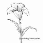Elegant Calla Lily Coloring Pages 2