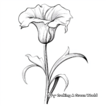Elegant Calla Lily Coloring Pages 3