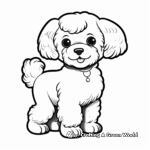 Elegant Toy Poodle Coloring Pages 2
