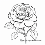 Elegant White Rose Coloring Sheets 3