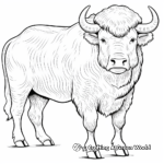 Euro Bison: Detailed Coloring Pages 2