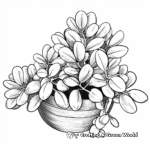 Exotic Jade Plant Coloring Pages 1