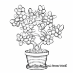 Exotic Jade Plant Coloring Pages 2