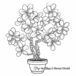 Exotic Jade Plant Coloring Pages 3