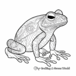 Exotic Rainforest Frog Coloring Pages 1