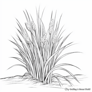 Fine Detailed Blades of Grass Coloring Pages 1