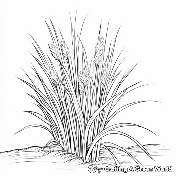 Grass Coloring Pages Free Printable 