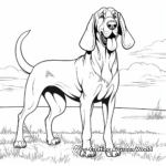 Full-Size Bloodhound Coloring Pages 1