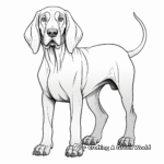 Full-Size Bloodhound Coloring Pages 3