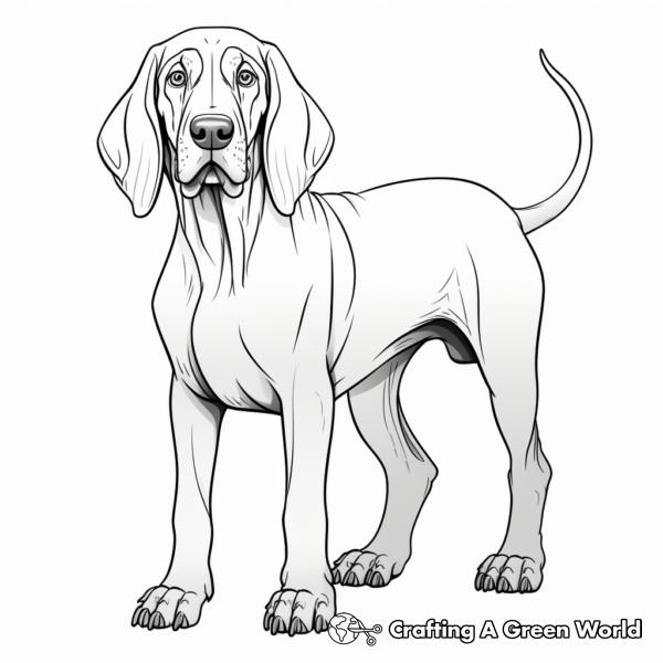 Bloodhound Coloring Pages - Free &amp; Printable!
