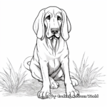 Furry Bloodhound Coloring Pages for Children 1