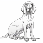 Furry Bloodhound Coloring Pages for Children 2