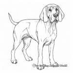 Furry Bloodhound Coloring Pages for Children 3