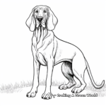 Furry Bloodhound Coloring Pages for Children 4