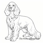 Golden Cocker Spaniel Coloring Pages 1