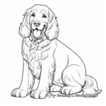 Golden Cocker Spaniel Coloring Pages 2
