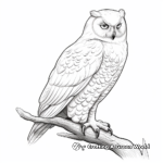 Gorgeous Snowy Owl Coloring Pages 2