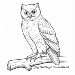 Gorgeous Snowy Owl Coloring Pages 4