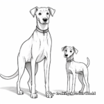 Greyhound and Cat Friendship Coloring Pages 1