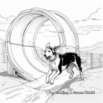 Greyhound in Agility Course Coloring Pages 2