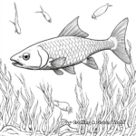 Guinean Barracuda Coloring Pages 1