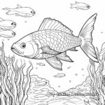 Guinean Barracuda Coloring Pages 2