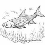 Guinean Barracuda Coloring Pages 3