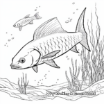 Guinean Barracuda Coloring Pages 4