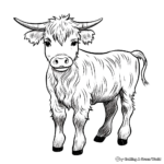 Highland Cow Coloring Pages for All Ages 2