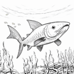 Intricate Yellowfin Barracuda Coloring Pages 2