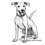 Italian Greyhound Breed Coloring Experience 1