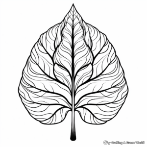 Leaf Anatomy Coloring Pages 3