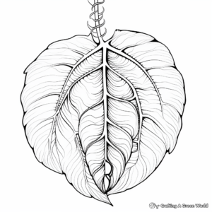 Leaf Anatomy Coloring Pages 4
