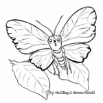 Leaf Insect Coloring Pages 4