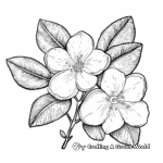 Lemon Blossom Coloring Pages for Botany Lovers 3