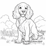 Lively English Cocker Spaniel Coloring Pages 4