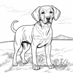 Lovable Labrador Retriever Coloring Pages 2